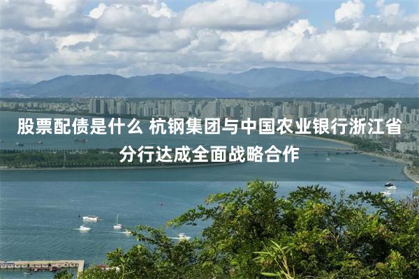 股票配债是什么 杭钢集团与中国农业银行浙江省分行达成全面战略合作