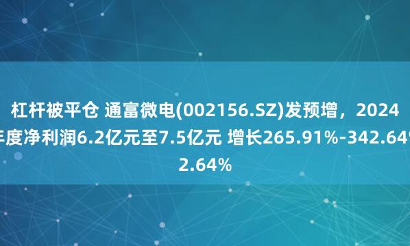 杠杆被平仓 通富微电(002156.SZ)发预增，2024年度净利润6.2亿元至7.5亿元 增长265.91%-342.64%