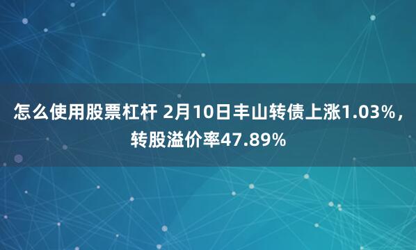 怎么使用股票杠杆 2月10日丰山转债上涨1.03%，转股溢价率47.89%