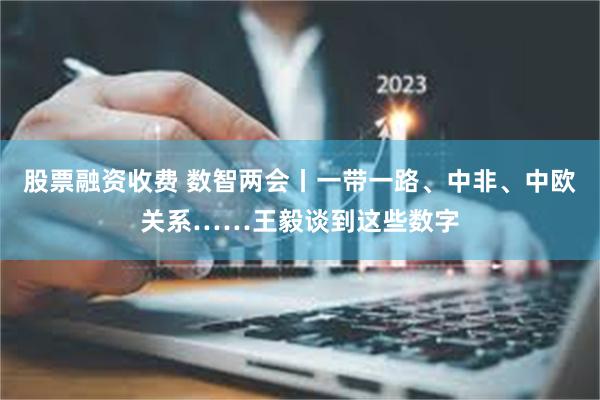 股票融资收费 数智两会丨一带一路、中非、中欧关系……王毅谈到这些数字