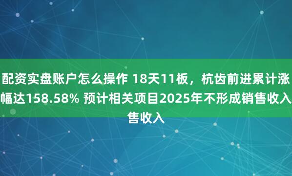 配资实盘账户怎么操作 18天11板，杭齿前进累计涨幅达158.58% 预计相关项目2025年不形成销售收入