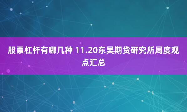 股票杠杆有哪几种 11.20东吴期货研究所周度观点汇总