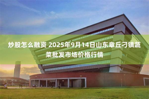 炒股怎么融资 2025年9月14日山东章丘刁镇蔬菜批发市场价格行情
